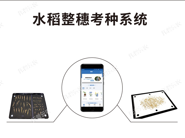 水稻整穗考種測量系統(tǒng) TPDS-X-1 plus