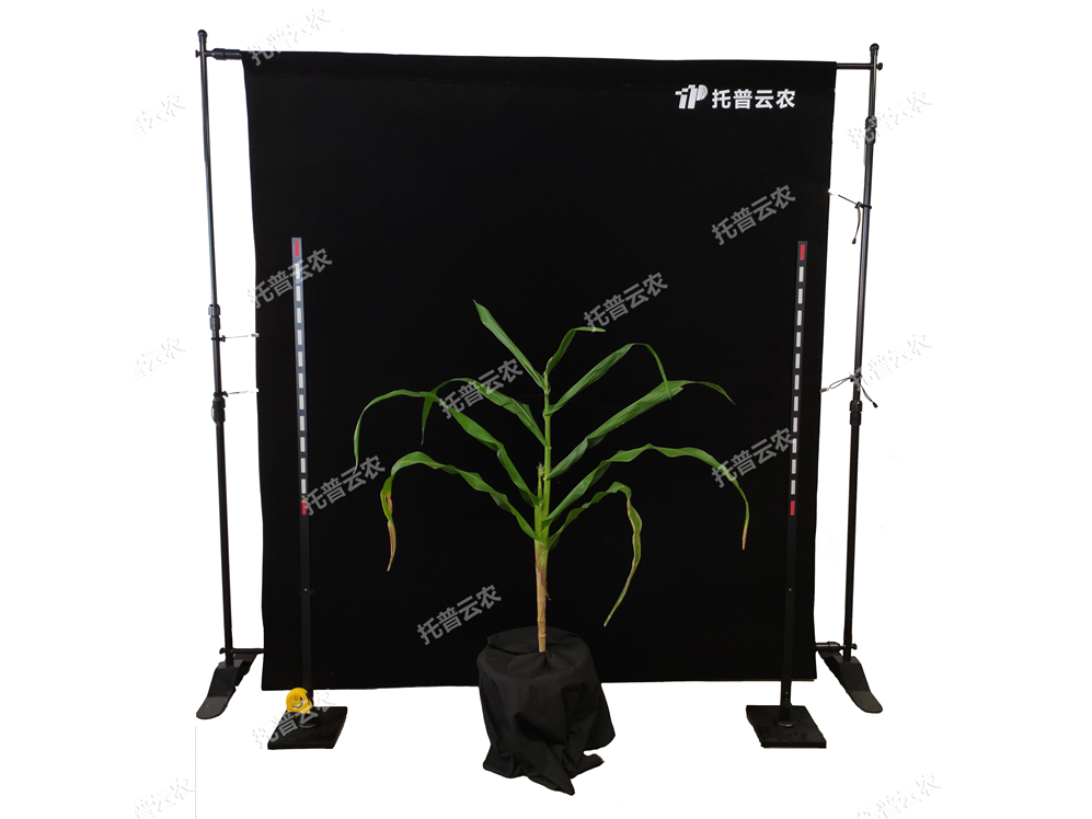 玉米株型分析系統(tǒng) TPMT-X-1