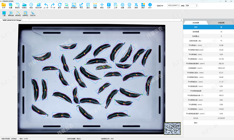 豆莢表型測定 總結(jié)果