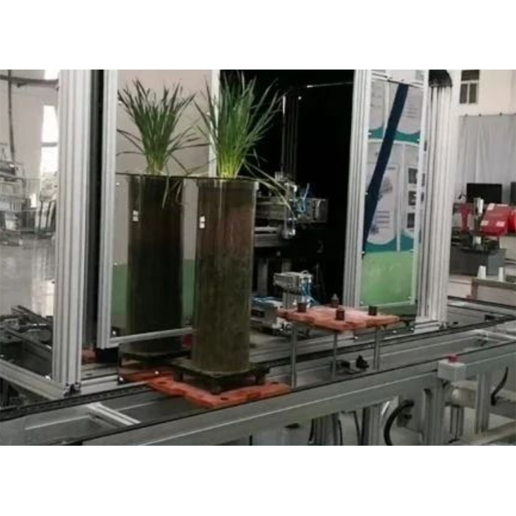 高通量植物根系表型采集分析系統(tǒng)（根筒式）